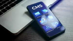 wooCommerce ili shopify bih